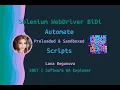 Java Test Execution using Selenium WebDriver BiDi Script Domain