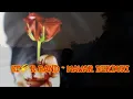 Download Lagu ST🌠R BAND - MAWAR BERDURI