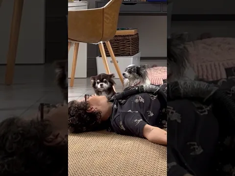 😅😅😅