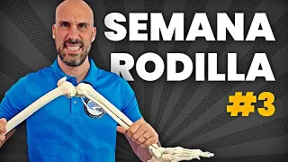 DÍA 3: MOVILIDAD (Recupera La Flexión Y Extensión De Tu Rodilla)