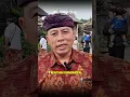 Download Lagu Festival Budaya Penglipuran Kembali Hadir Tahun 2025 #bali #shorts #festival #budaya #penglipuran
