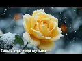 Download Lagu The most beautiful melody in the world🌿I want to listen to it forever🌿Music by Sergey Grischuk