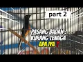 Download Lagu BIRAHI MENTOK TAK KUNJUNG BERKURANG 👉 CARI MASALAHNYA JANGAN ASAL EKSEKUSI❗️