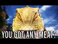 Download Lagu Monster Hunter RANDOMNESS