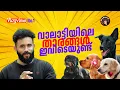 Download Lagu Super Hero of വാലാട്ടി | Ft.Karidas | Ft.Amalu | Ft. Tomy | Ft.Bruno | Devan | Vijay Babu| VlogView