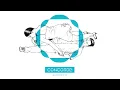 Concorde - Made for Love