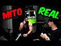 Download Lagu los MITOS de la CREATINA
