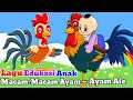 Download Lagu Macam-Macam Ayam ( Ayam Ale ) ~ Animasi Ayam Lucu ~ Lagu Anak Indonesia Terbaru