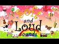 Soft and Loud Sounds English 2 Module1 Week 1 Different Kind of Sounds Grade 2 English Lesson