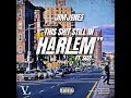 This Sh!T Still in Harlem