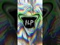Download Lagu CATACLYSM  #phonk #phonkagressive #phonkmusic #phonkhouse #music