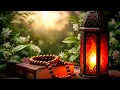Lagu Soothing Islamic Instrumental | Peaceful Music for Heart, Soul \u0026 Inner Calm