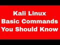 Kali Linux Quick Start Guide - Basic Commands You Should Know