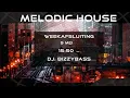 Download Lagu DJ BizzyBass - Melodic House -Weekafsluiting
