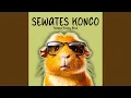 Download Lagu Sewates Konco