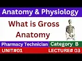 Definition of Gross Anatomy What is Gross Anatomy Pharmacy Technician