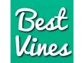 12 HOUR VINE COMPILATION
