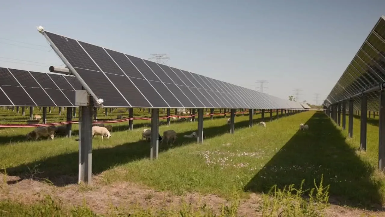 Massive solar farm provides enough power for 70,000 Texas homes