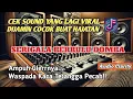 Download Lagu Cek Sound Dangdut Viral TikTok! Serigala Berbulu Domba | Bass Menggelegar!