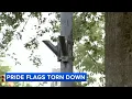 Man charged with stealing pride flags in Haddonfield NJ