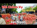 Download Lagu \