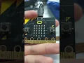 Hot potato MICRO BIT