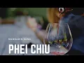Download Lagu PHEI CHIU MANDARIN SONG #mandarinsong