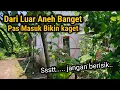 Download Lagu MUSTAHIL PERCAYA!! TAPI ORANG INI BERTAHAN HIDUP 100 HARI DI DALAM HUTAN
