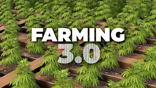 FARMING 3 0 ULTIMATE GUIDE Best Genes Egg and Honey farm in Rust