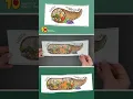 Cornucopia Thanksgiving Printable Card