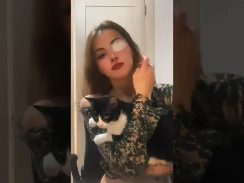 Meet Daisy 🐈‍⬛️ #cat #youtubeshorts
