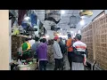 Download Lagu akhir bulan agustus Ribuan ekor burung datang dan redy di pasar burung bonjoli