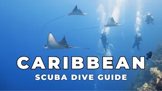 Best Diving in the Caribbean 5 Must-Dive Caribbean Sites Win a Roatan Dive Trip