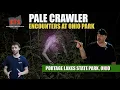 Terrifying Pale Crawler Encounters at Portage Lakes State Park in Ohio