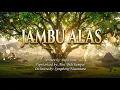 Lagu JAMBU ALAS – Cipt. Papa Irma • Dipopulerkan Alm. Didi Kempot • Orchestra by Symphony Nusantara