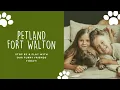 At Petland Fort Walton Beach We Provide Our Customers With An Experience