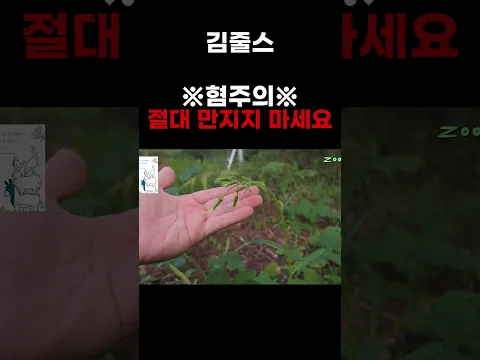 산에 가기 전에 필수 시청