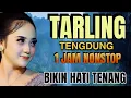 Download Lagu TARLING CIREBONAN __ TARLING TENGDUNG_ TARLING INDRAMAYU _ FULL ALBUM KOMPILASI TEMAN PERJALANAN