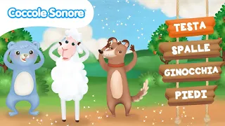 Testa spalla ginocchia e piedi 🙆‍♂️ Baby Dance e canzoni da ballare | Coccole Sonore