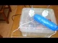 Raspberry Pi Beat the Buzzer game
