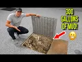 Cleaning 300 Gallons of MUD Out of my Drain Pit