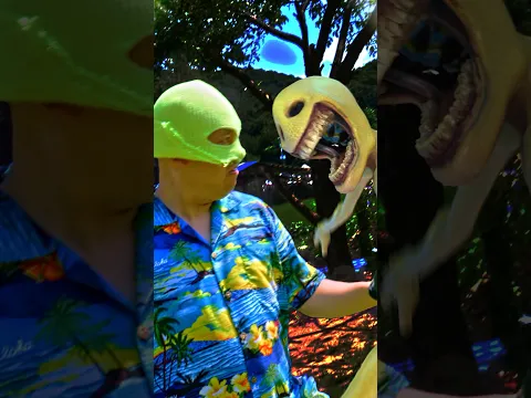 Verity Dance Showdown ( ME VS Verity ) #shorts #verity