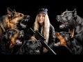 TOP 5 FAMILY PROTECTION DOGS - German Shepherd Rottweiler Cane Corso Dobermann Giant Schnauzer