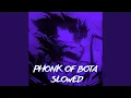 Download Lagu PH0NK OF BOTA SWD