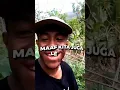 Download Lagu pacarmu ganteng? bisa cabut singkong tidak?
