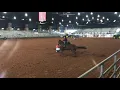 Download Lagu Maddie Moon Frost and Jenna Dominick 1D 3rd 15.906 Futurity 1st Go Stop One Okeechobee