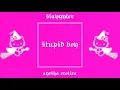Download Lagu Stupid Boy mashup but it's just Slayyyter and Ayesha