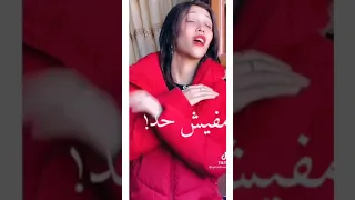 افجر حالة واتس مهرجان امبابه دوله وانا فرد منها الترند الجديد حالات واتس 2021 