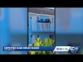 Collier County deputies raid drug house in Golden Gate