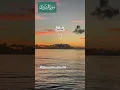 Download Lagu Surah Ash-Shura Ayat 01-02-03 #shorts #quran #mukhtar Al haaj